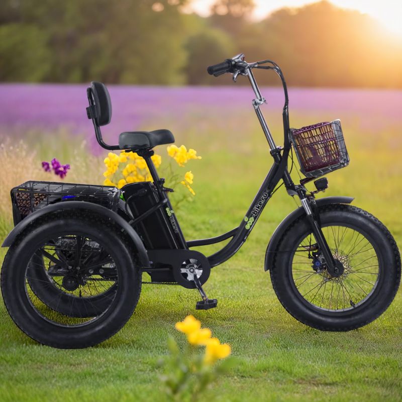 Трехколесный электровелосипед Fat Trike T NEW 750W с передней корзиной